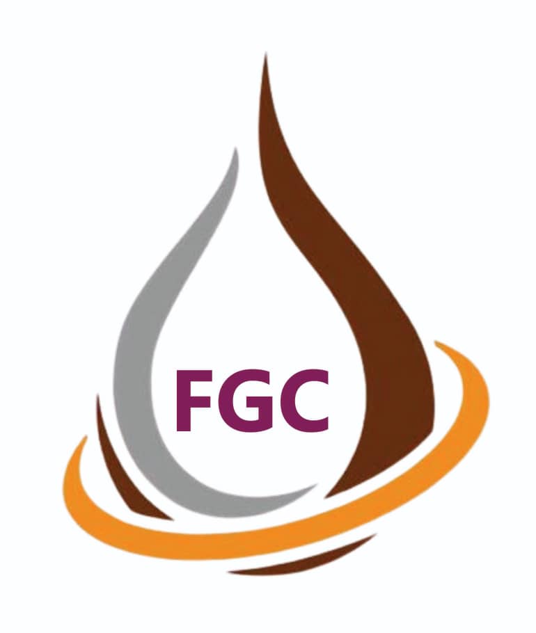 FRANKTECH GLOBAL COMPANY LIMITED